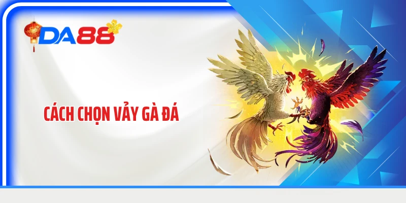 Cách Chọn Vảy Gà Đá: Nhận Diện Đặc Điểm Chân Gà Hiệu Quả