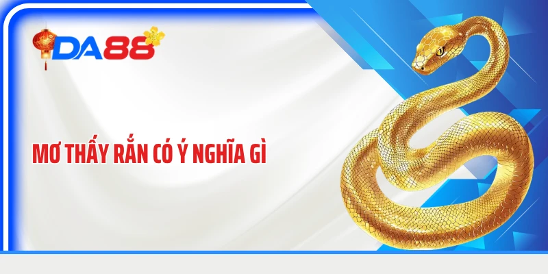 Mơ Thấy Rắn Có Ý Nghĩa Gì: Giải Mã Theo Từng Dấu Hiệu