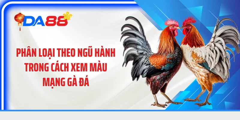 Phân loại theo ngũ hành trong cách xem màu mạng gà đá