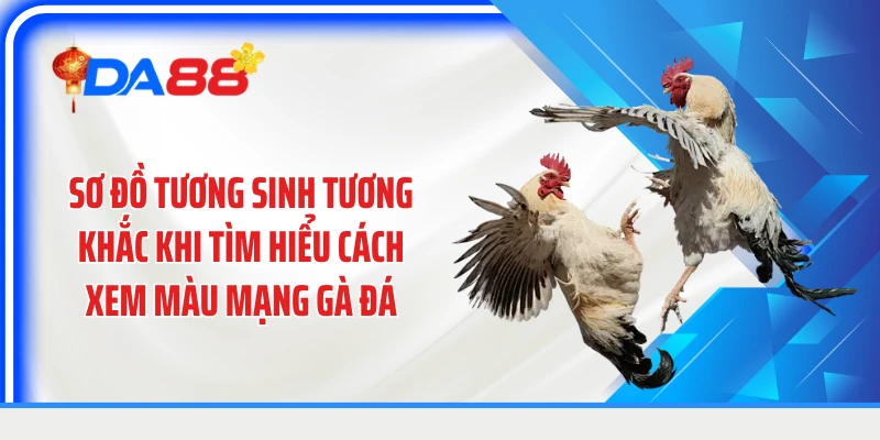 Sơ đồ tương sinh tương khắc khi tìm hiểu cách xem màu mạng gà đá